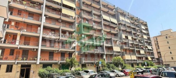 1 room Commercial property in Foggia, Italy No. 14499 11