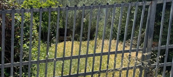 4-salle Appartement à Stroncone, Italy No. 261361 10