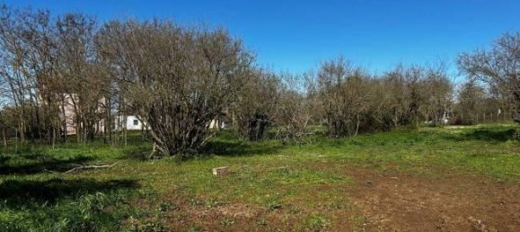  قطعة أرض في Bassano in Teverina, Italy 3200متر مربع رقم 40103 11