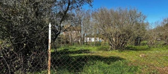  قطعة أرض في Bassano in Teverina, Italy 3200متر مربع رقم 40103 9