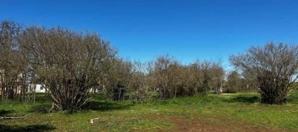  قطعة أرض في Bassano in Teverina, Italy 3200متر مربع رقم 40103 4