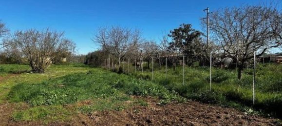  قطعة أرض في Bassano in Teverina, Italy 3200متر مربع رقم 40103 12