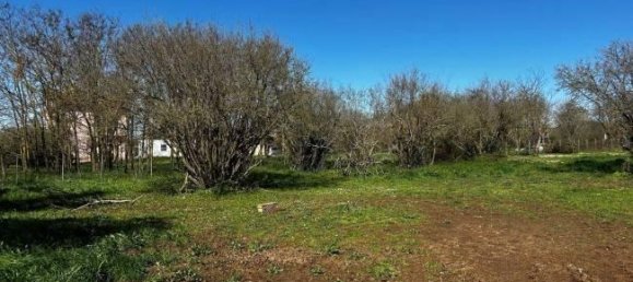  قطعة أرض في Bassano in Teverina, Italy 3200متر مربع رقم 40103 10