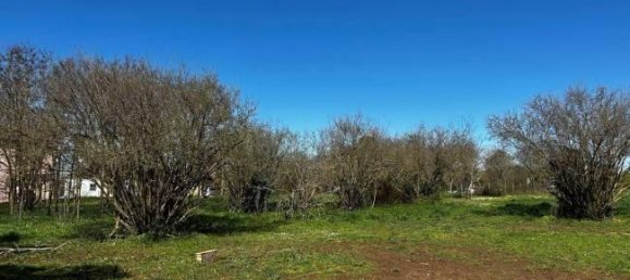  قطعة أرض في Bassano in Teverina, Italy 3200متر مربع رقم 40103 3