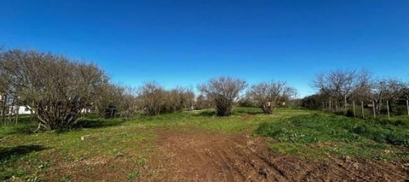  قطعة أرض في Bassano in Teverina, Italy 3200متر مربع رقم 40103 14