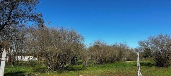  قطعة أرض في Bassano in Teverina, Italy 3200متر مربع رقم 40103 7