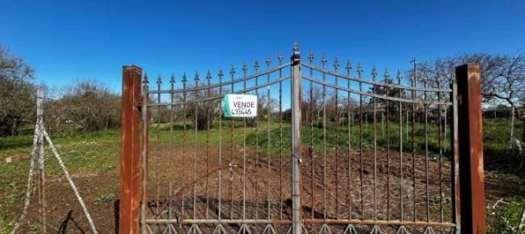  قطعة أرض في Bassano in Teverina, Italy 3200متر مربع رقم 40103 5