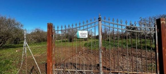  قطعة أرض في Bassano in Teverina, Italy 3200متر مربع رقم 40103 16