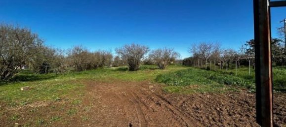  قطعة أرض في Bassano in Teverina, Italy 3200متر مربع رقم 40103 6