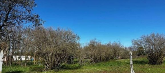  قطعة أرض في Bassano in Teverina, Italy 3200متر مربع رقم 40103 8