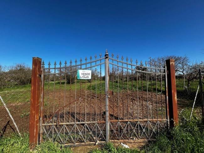  قطعة أرض في Bassano in Teverina, Italy 3200متر مربع رقم 40103