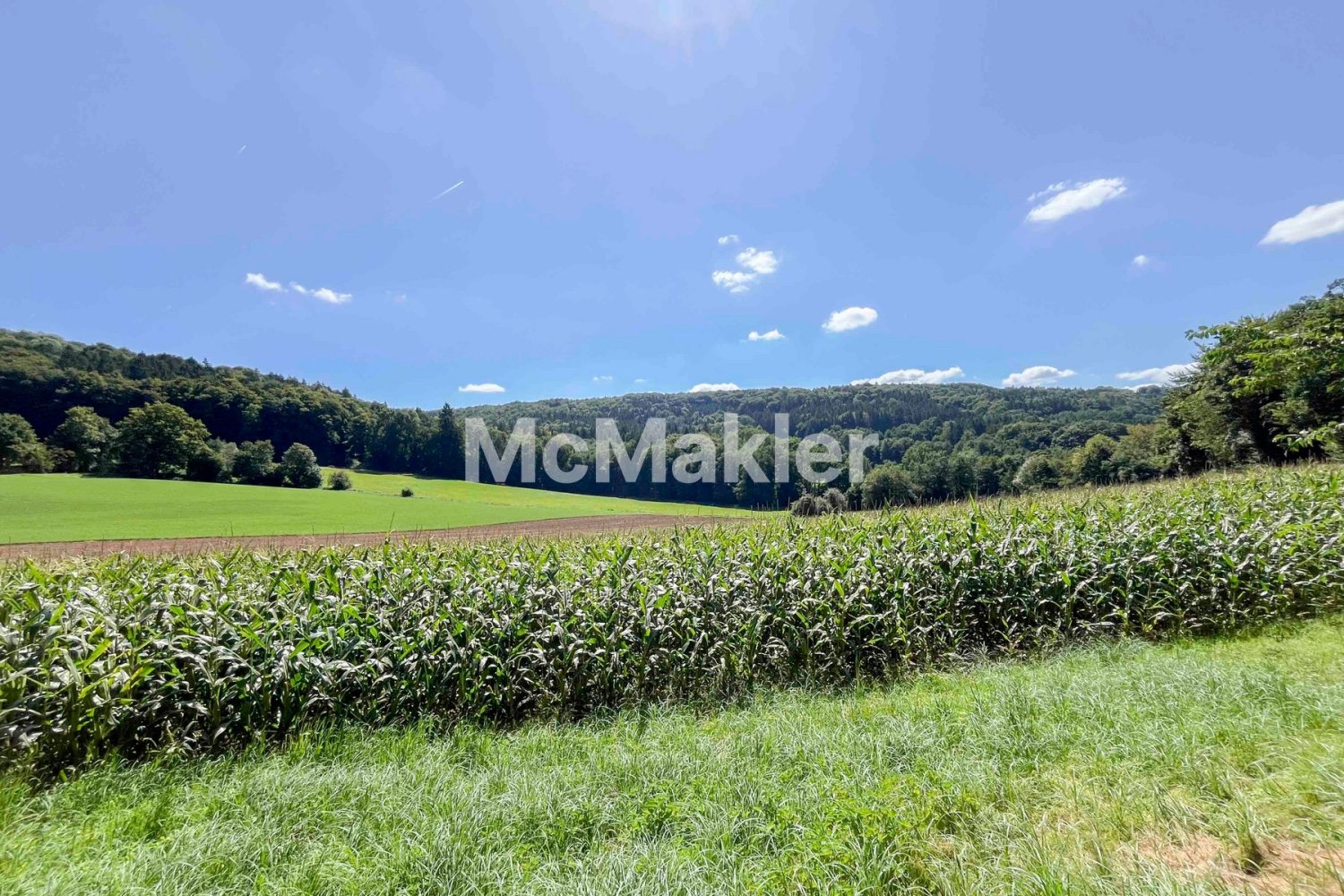 1 bedroom House in Neustadt an der Waldnaab, Germany No. 304935