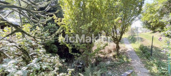 1 bedroom House in Neustadt an der Waldnaab, Germany No. 304935 11