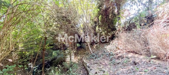 1 bedroom House in Neustadt an der Waldnaab, Germany No. 304935 8