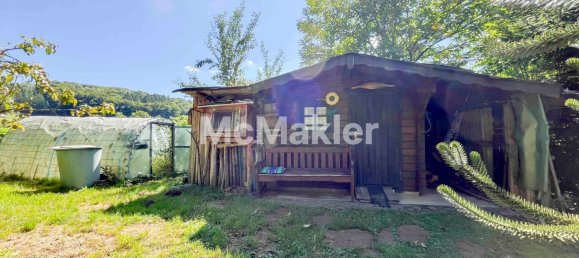 1 bedroom House in Neustadt an der Waldnaab, Germany No. 304935 16