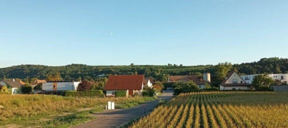 3 rooms Apartment in Traismauer, Austria No. 242851 8