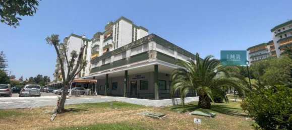 Gewerbliche Immobilie in Jerez de la Frontera, Spain 1973m², Nr. 146402 6