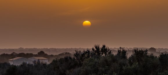 5 chambres Maison à Santanyi, Spain No. 74486 29
