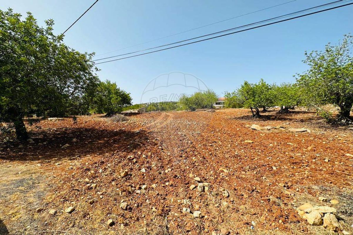 Земельный участок с 4 спальнями в Фару, Португалия № 63114