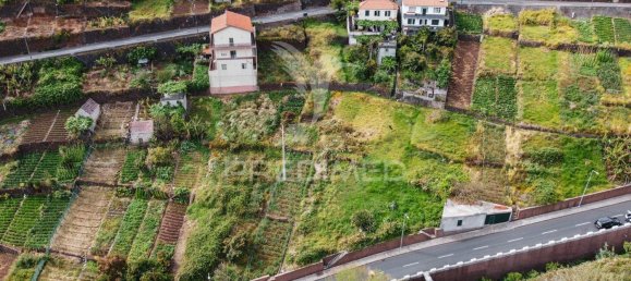 Terrain à Calheta, Portugal 1008m² No. 89520 3