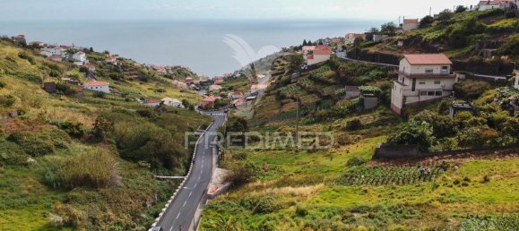 Terrain à Calheta, Portugal 1008m² No. 89520 7
