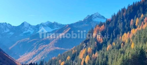 2 bedrooms House in Chiesa in Valmalenco, Italy No. 145256 14