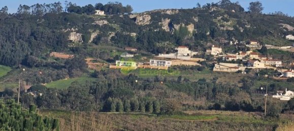 Grundstück in Cadaval, Portugal 5600m², Nr. 61095 6