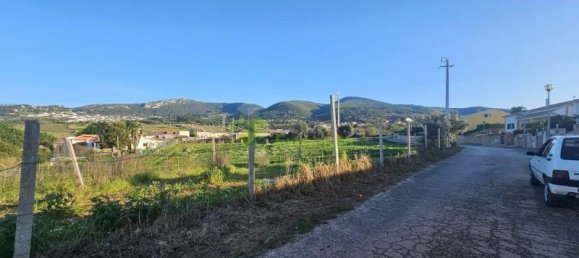 Grundstück in Cadaval, Portugal 5600m², Nr. 61095 3