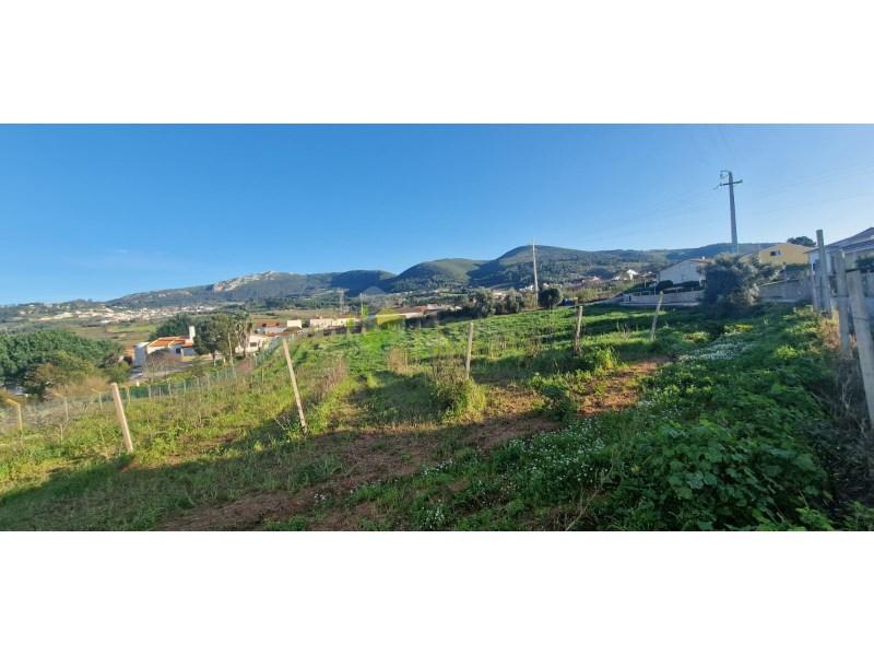 Grundstück in Cadaval, Portugal 5600m², Nr. 61095