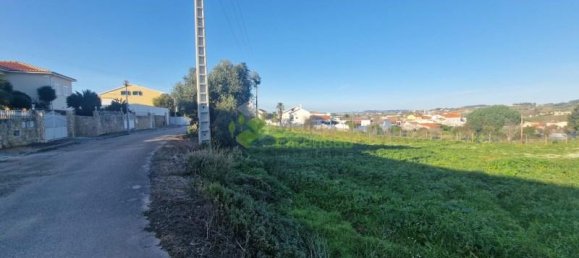 Grundstück in Cadaval, Portugal 5600m², Nr. 61095 4