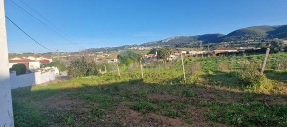 Grundstück in Cadaval, Portugal 5600m², Nr. 61095 2