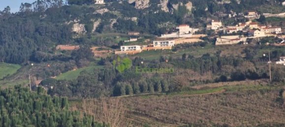 Grundstück in Cadaval, Portugal 5600m², Nr. 61095 5