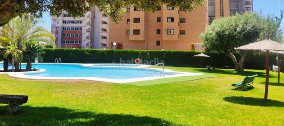 4 bedrooms Apartment in Benidorm, Spain No. 82544 8