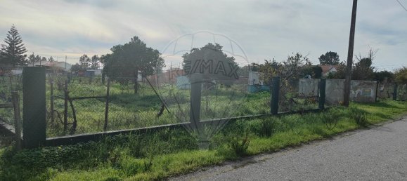 825m² Land in Torrao, Portugal No. 63654 2