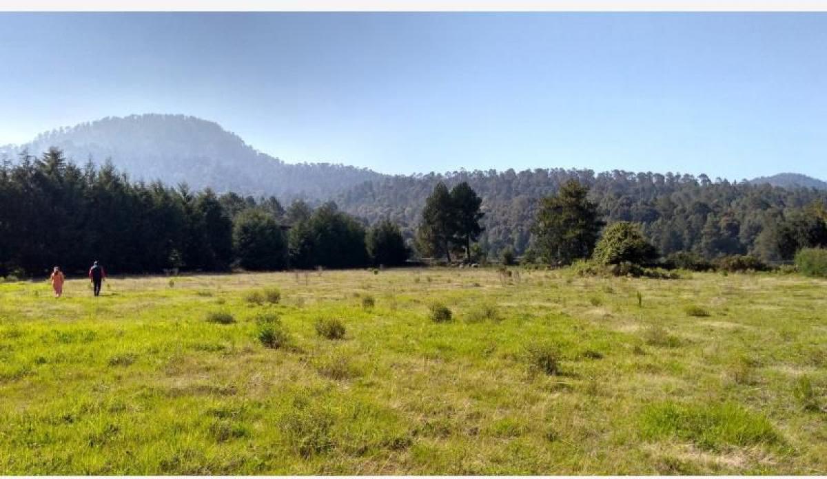 Земельный участок в Эройка Матаморос, Мексика № 206708