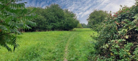 Adosado de 4 dormitorios en Main-Taunus, Germany No. 361144 16