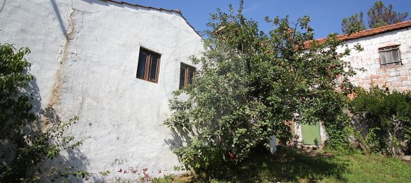 Casa de 2 dormitorios en Pousaflores, Portugal No. 23482 6
