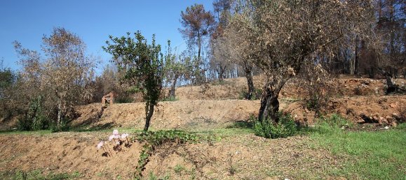 Casa de 2 dormitorios en Pousaflores, Portugal No. 23482 11