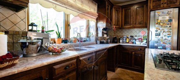 4 bedrooms House in Cernache, Portugal No. 25916 16