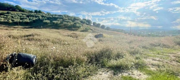 30000m² Land in Moscufo, Italy No. 288953 12