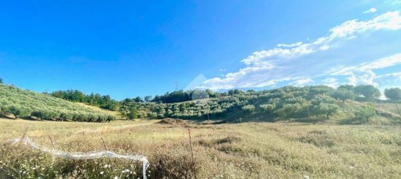 30000m² Land in Moscufo, Italy No. 288953 13