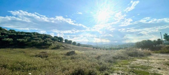 30000m² Land in Moscufo, Italy No. 288953 16