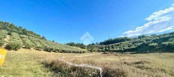 30000m² Land in Moscufo, Italy No. 288953 11