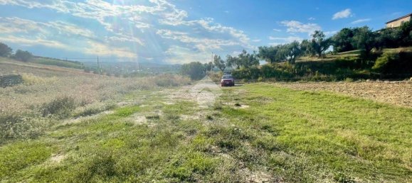 30000m² Land in Moscufo, Italy No. 288953 5