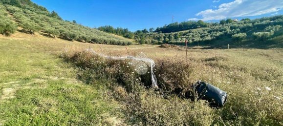 30000m² Land in Moscufo, Italy No. 288953 15