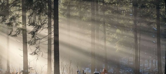2 Schlafzimmer Bungalow in Breisgau-Hochschwarzwald, Germany, Nr. 19678 24