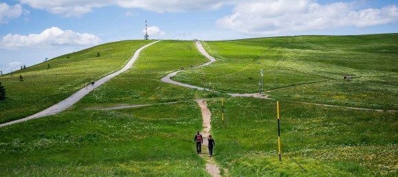 2 Schlafzimmer Bungalow in Breisgau-Hochschwarzwald, Germany, Nr. 19678 21