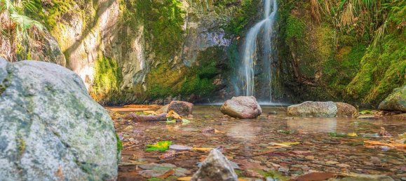 2 Schlafzimmer Bungalow in Breisgau-Hochschwarzwald, Germany, Nr. 19678 19