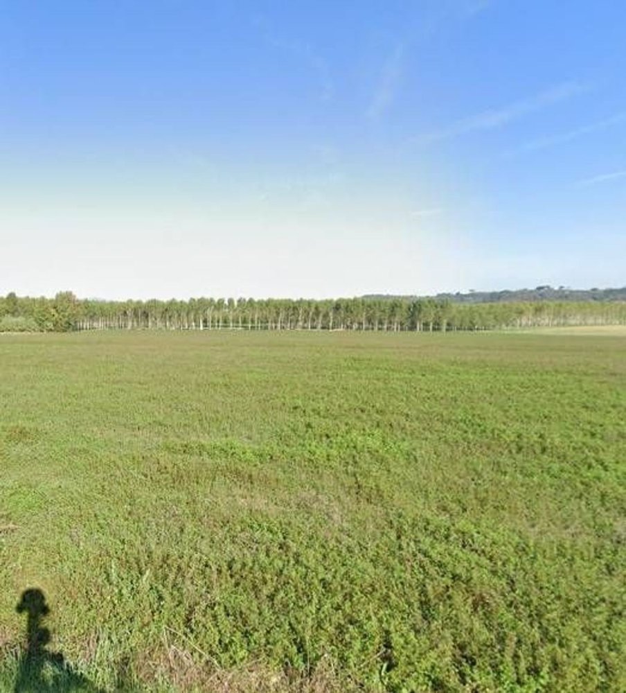 6-salle Appartement à Pontedera, Italy No. 37844