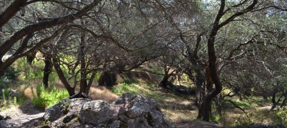 Hotel in Corfu, Greece 9150m², Nr. 5480 3